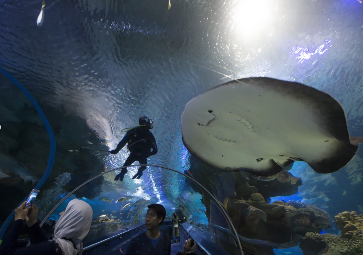 Aquaria KLCC - view 1